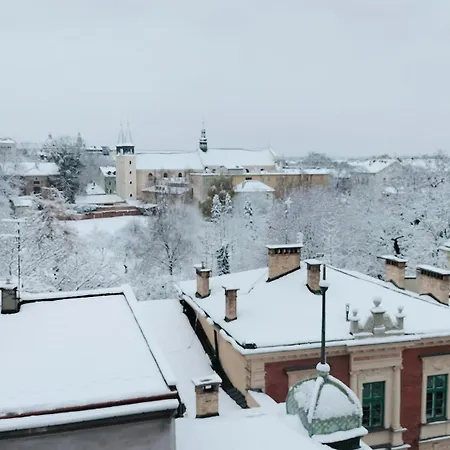 شقة Yellow Peaked Shoe