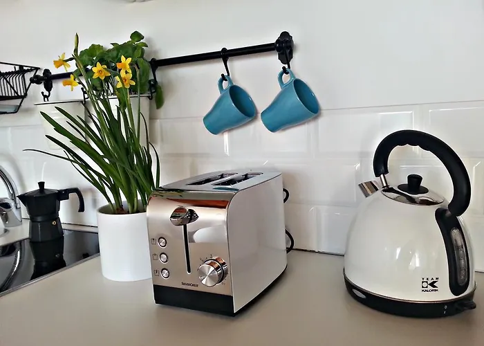 Yellow Peaked Shoe شقة كراكوفيا